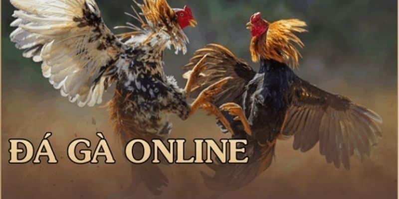app đá gà online