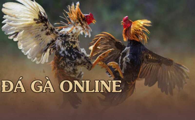 game đá gà online